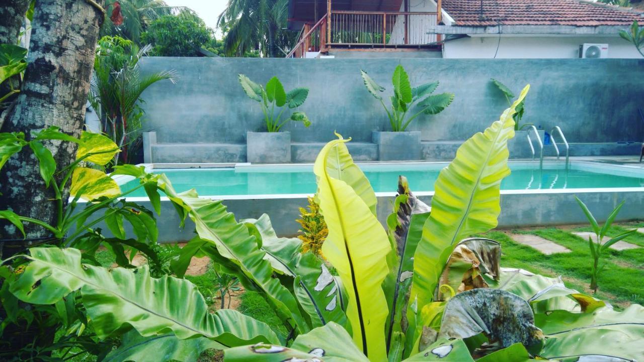 Hotel Surf Gangs Arugambay Arugam Bay Exterior foto